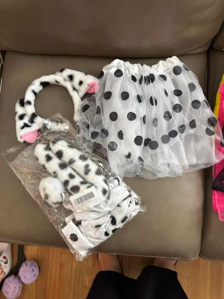 Photo of free Halloween costumes (Princeton tree streets) #1