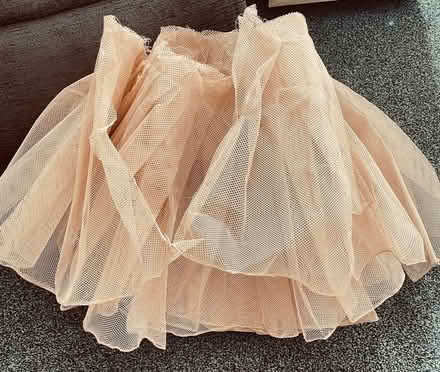 Photo of free Heavy can can netting for dresses (Goodmayes IG3) #1