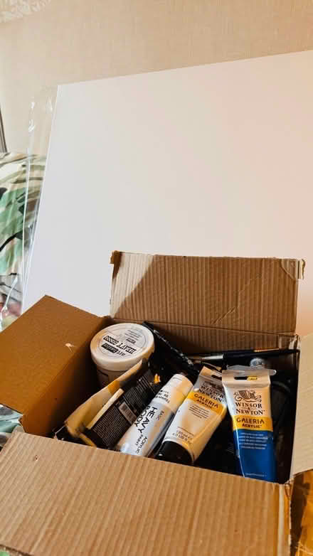 Photo of free Acrylic paints brushes palette knives and 2 canvesses (Holme BB4) #1