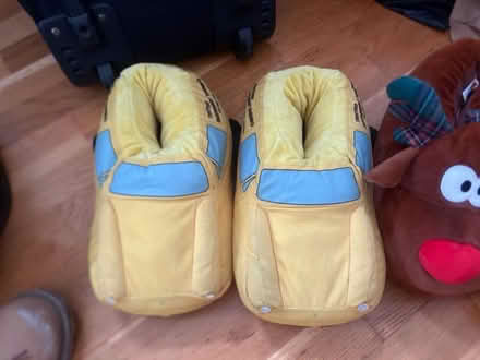 Photo of free Novelty slippers (Rotherham S62) #3