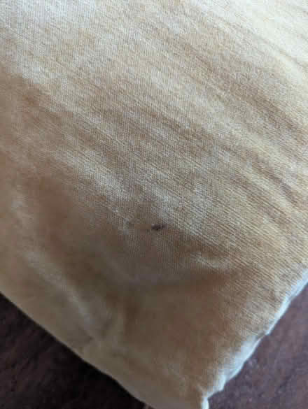 Photo of free 2 yellow cushions (Camberwell Green SE5) #3