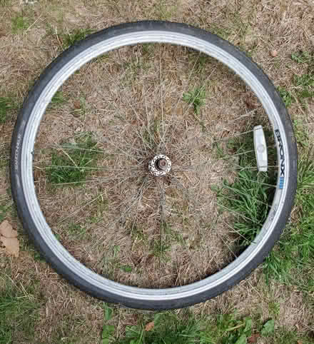 Photo of free bicycle wheel (Dyke Road area BN1) #1