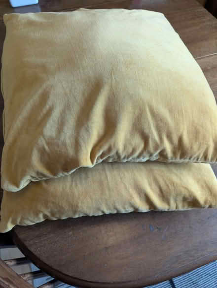 Photo of free 2 yellow cushions (Camberwell Green SE5) #2