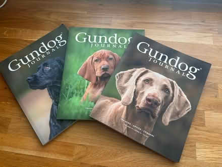 Photo of free Gundog magazines (MK7, Wavendon Gate) #1