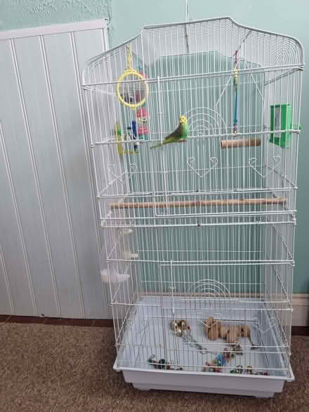 Photo of free large bird cage (Havant PO9) #1