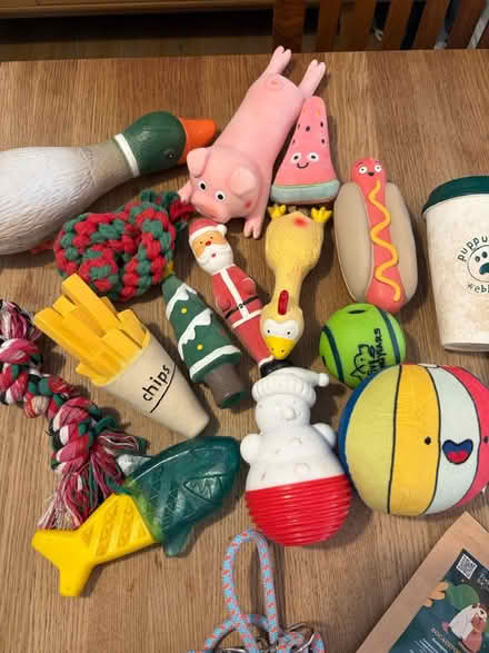 Photo of free Dog food, squeaky toys and extras (Emersons Green, BS16 7) #3