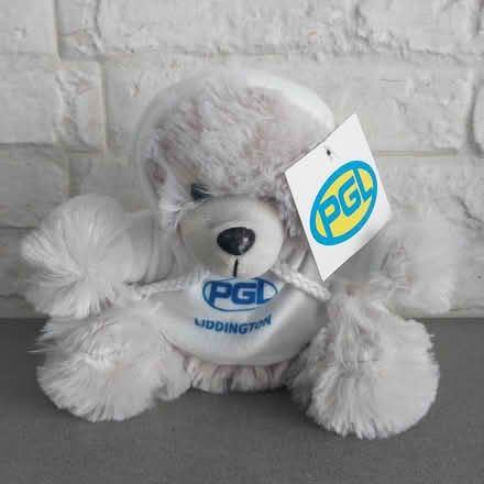 Photo of free Small teddy bear from PGL (Ealing Pitshanger W5) #1