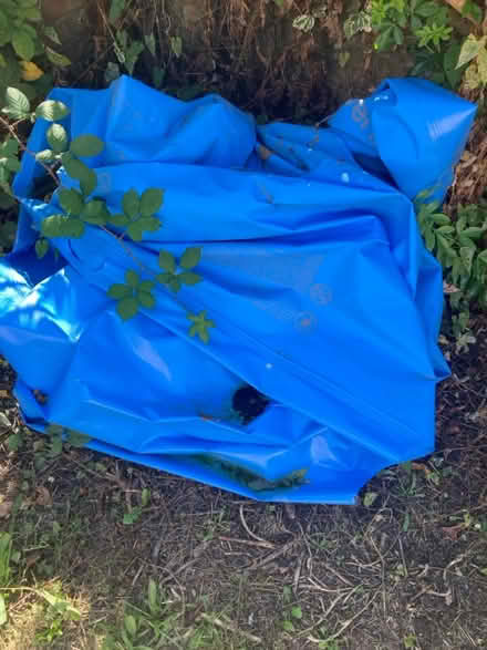 Photo of free Liner (Maidenhead SL6) #1