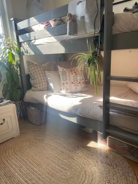 Photo of free Single Bunk bed (North Sheen TW9) #3