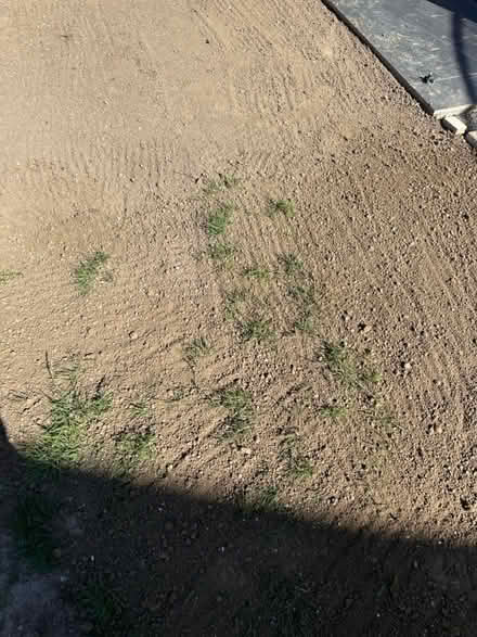 Photo of free Top soil (Ashford TN23) #4