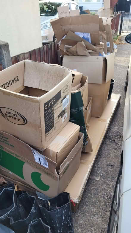 Photo of free Cardboard (Turves Green B31) #1