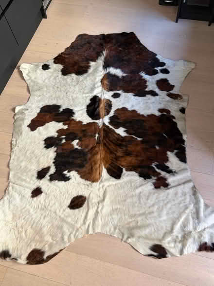 Photo of free Genuine Cow Hide Rug (Palmers Green N13) #1