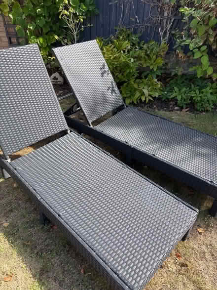 Photo of free Sun beds (Putnoe MK41) #1