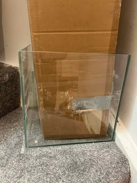 Photo of free Fish bowl/terrarium/glass bowl (Woking GU21) #1