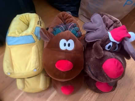 Photo of free Novelty slippers (Rotherham S62) #1