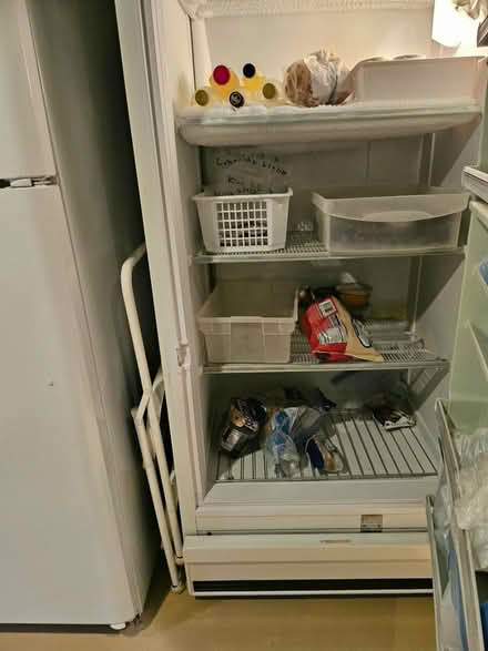 Photo of free Freezer large white (Capitol Hill) #4