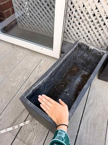 Photo of free 7 planting pots (Fitzrovia W1T) #2