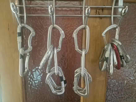 Photo of free Snap-gate carabiners (Stroud GL5) #1