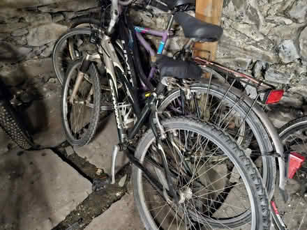 Photo of free 3 ladies step thru cycles (Llanberis LL55) #1