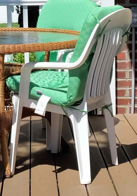 Photo of free chair cushions (Highland Park) #3