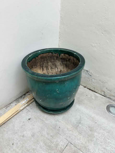 Photo of free Large pot (NW8 6EL) #1