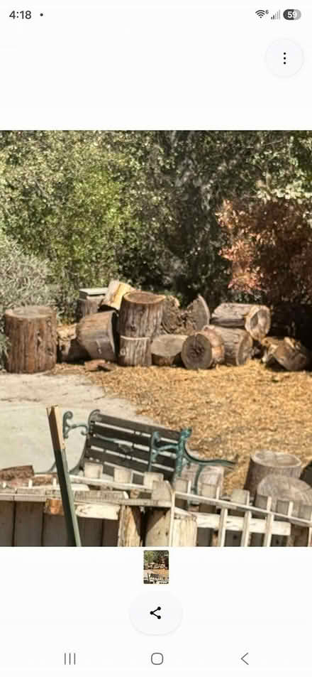 Photo of free Wood Logs (Newbury Park) #1
