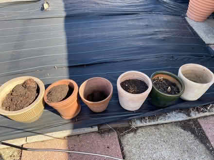 Photo of free Pots (Bearsted ME14) #1