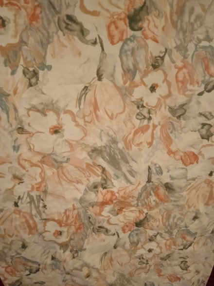Photo of free Curtains (California IP4) #1