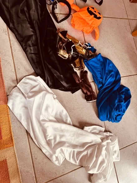 Photo of free Halloween costumes - bits and bobs (Fleetville AL4) #1