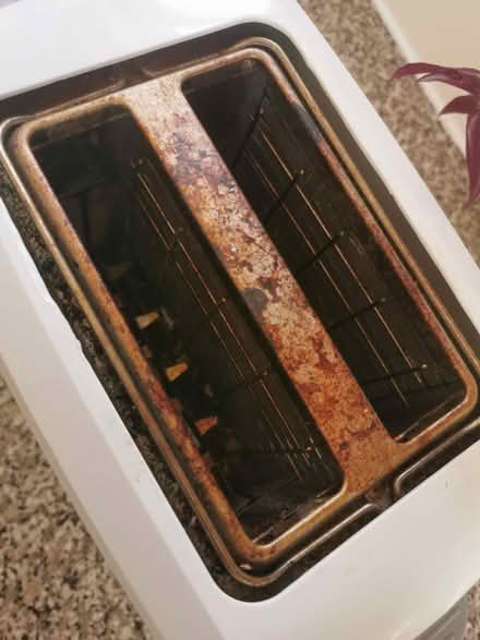 Photo of free Toaster (Turnpike Lane N22) #3