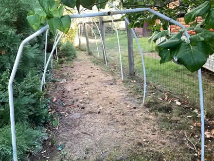 Photo of free PVC for shelter supports (Burton Peninsula Vashon Island) #1