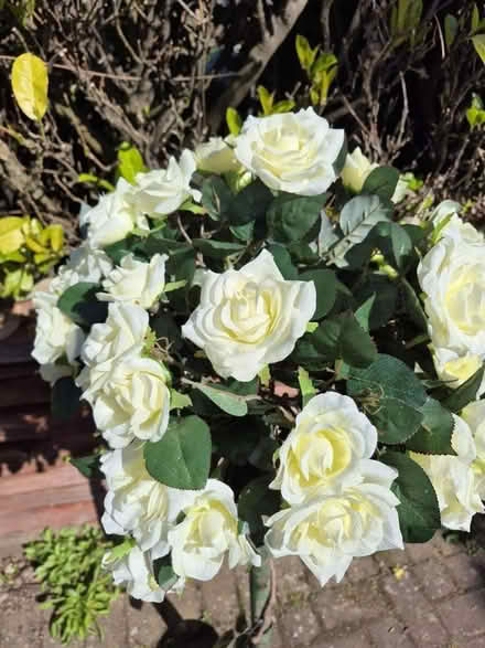 Photo of free Artifical rose tree (IP10) #2