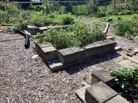 Photo of free Retaining Wall Stones (Nepean) #3