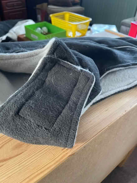Photo of free Dog coat (Chelmsford CM2) #1