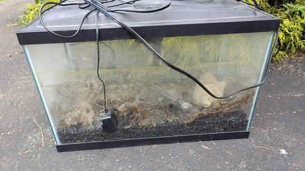 Photo of free 20 Gallon Fish Tank (Bellevue Bridle Trails area) #1