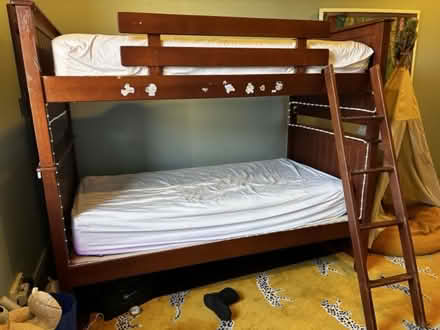 Photo of free High quality bunk bed (Coogee) #1