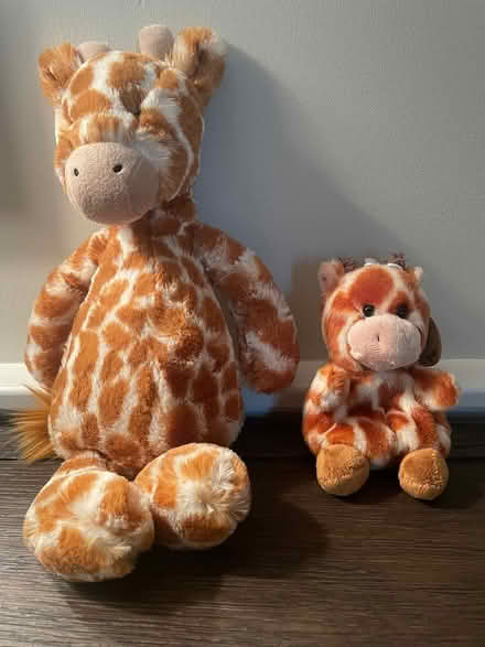 Photo of free 2 stuffed giraffes (Putnam Valley) #1