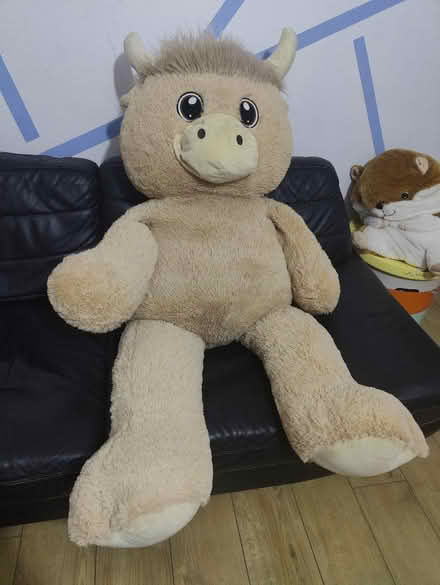 Photo of free Extra Large Teddy (Woodcote SM6) #2