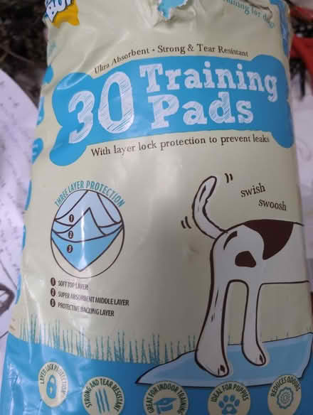 Photo of free Puppy training pack (Bramley LS13) #1