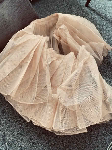 Photo of free Heavy can can netting for dresses (Goodmayes IG3) #2