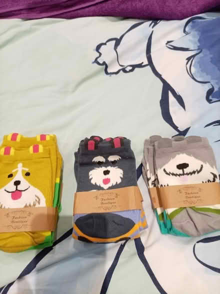 Photo of free Assorted doggie socks (Kendray S70) #1