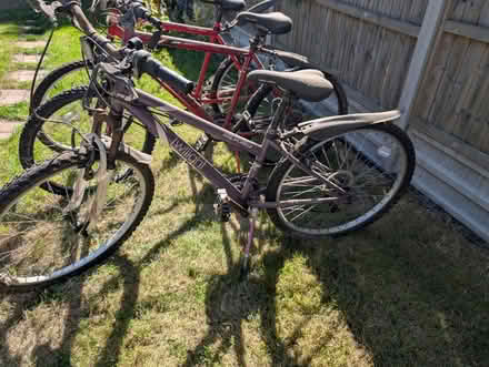 Photo of free Three 22" wheel bicycles (Haywards Heath RH16) #3