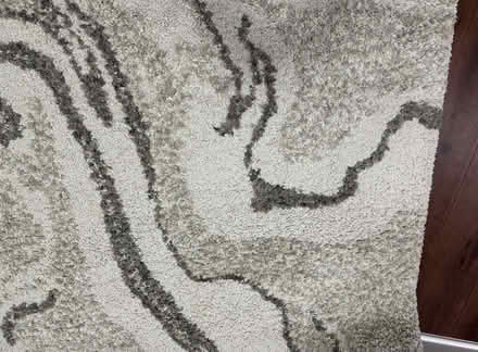 Photo of free Area rug (Sammamish) #1