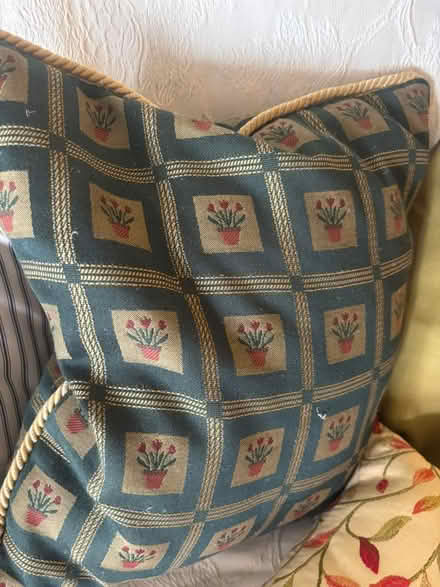 Photo of free 8 cushions (Battersea SW11) #3