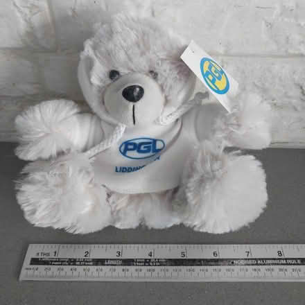 Photo of free Small teddy bear from PGL (Ealing Pitshanger W5) #2