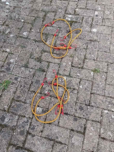 Photo of free Spider bungee chords (Clophill MK45) #1