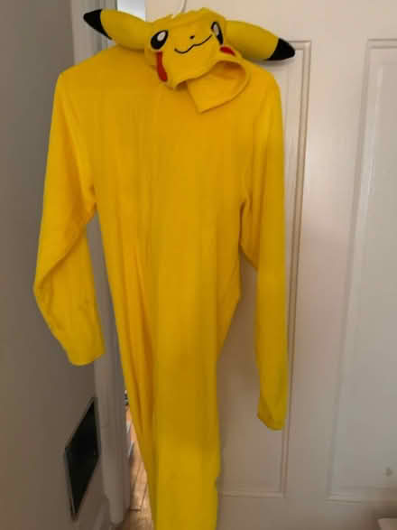 Photo of free Halloween costumes (Princeton tree streets) #3