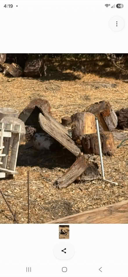 Photo of free Wood Logs (Newbury Park) #3