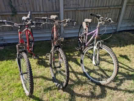 Photo of free Three 22" wheel bicycles (Haywards Heath RH16) #1