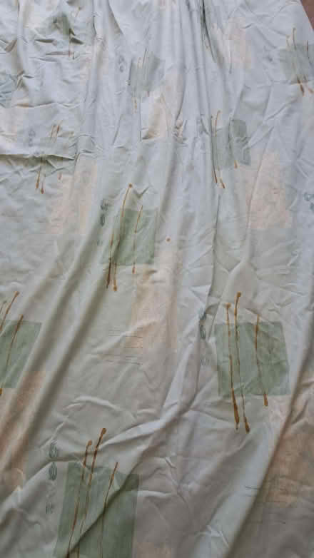Photo of free Lined green curtains. Approx size 250mm by 260mm each (The Grange EH9) #2